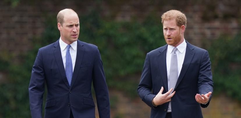Royaltywatcher over de ruzie tussen prinselijke broers: ‘Het komt nooit meer goed tussen Harry en William’